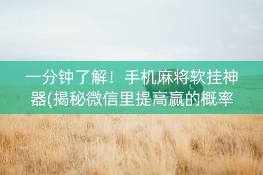 一分钟了解！手机麻将软挂神器(揭秘微信里提高赢的概率)