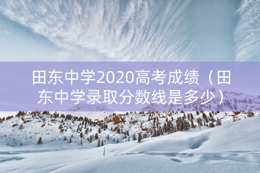 田东中学2020高考成绩（田东中学录取分数线是多少）