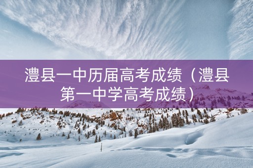 澧县一中历届高考成绩（澧县第一中学高考成绩）