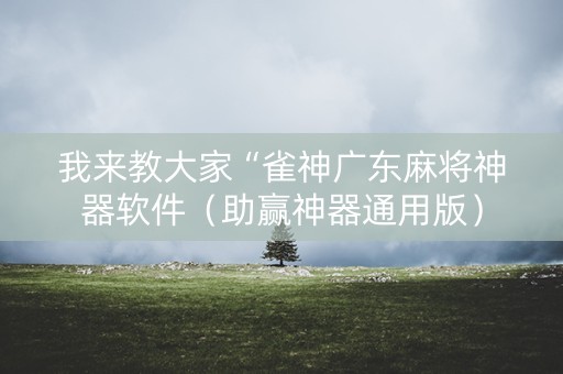 我来教大家“雀神广东麻将神器软件（助赢神器通用版）