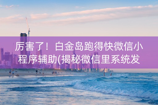 厉害了！白金岛跑得快微信小程序辅助(揭秘微信里系统发好牌)