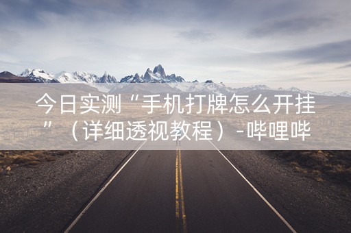 今日实测“手机打牌怎么开挂”（详细透视教程）-哔哩哔哩
