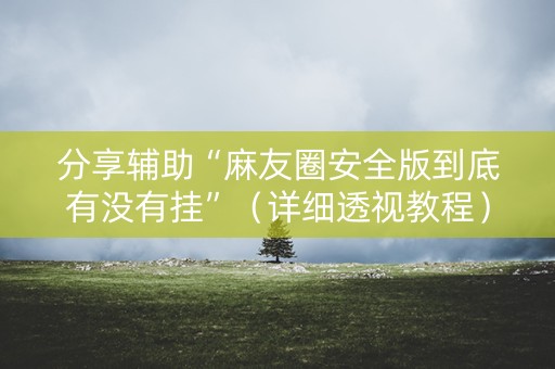 分享辅助“麻友圈安全版到底有没有挂”（详细透视教程）-哔哩哔哩