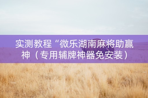 实测教程“微乐湖南麻将助赢神（专用辅牌神器免安装）