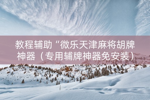 教程辅助“微乐天津麻将胡牌神器（专用辅牌神器免安装）