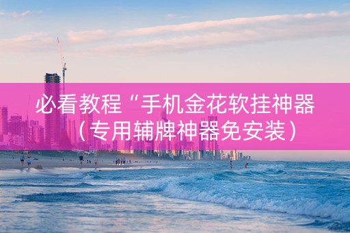 必看教程“手机金花软挂神器（专用辅牌神器免安装）