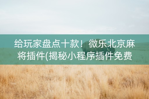 给玩家盘点十款！微乐北京麻将插件(揭秘小程序插件免费)