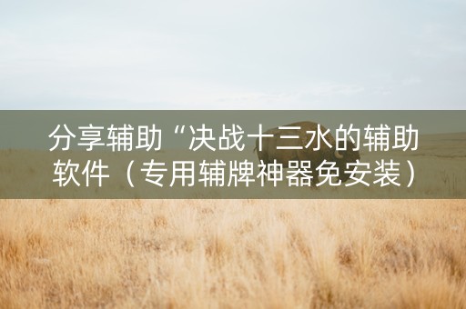分享辅助“决战十三水的辅助软件（专用辅牌神器免安装）