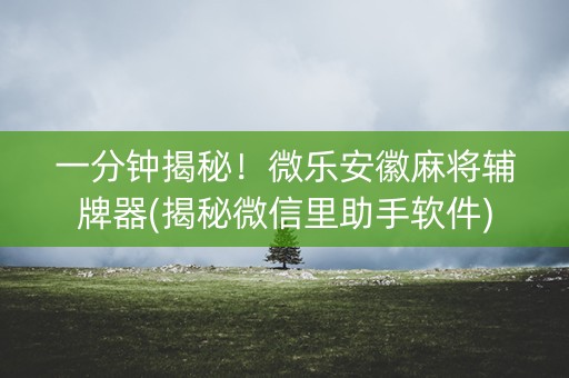 一分钟揭秘！微乐安徽麻将辅牌器(揭秘微信里助手软件)