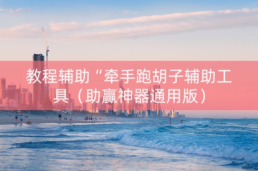 教程辅助“牵手跑胡子辅助工具（助赢神器通用版）