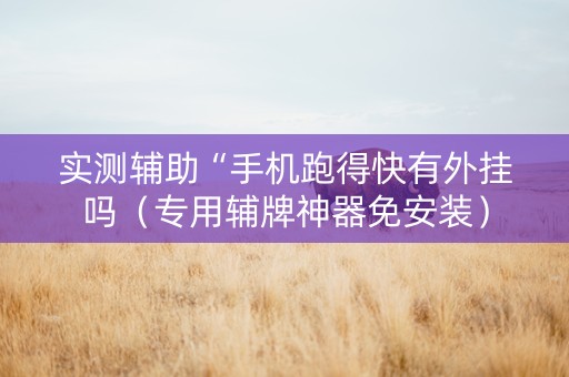 实测辅助“手机跑得快有外挂吗（专用辅牌神器免安装）