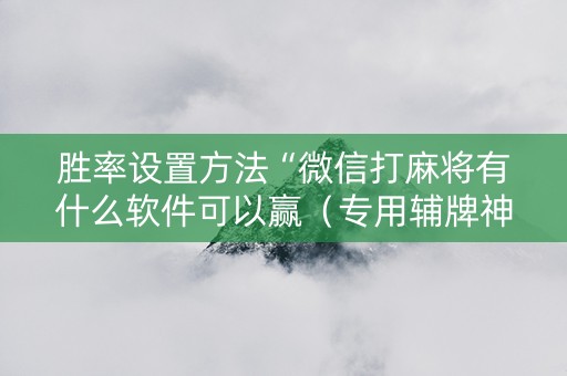 胜率设置方法“微信打麻将有什么软件可以赢（专用辅牌神器免安装）