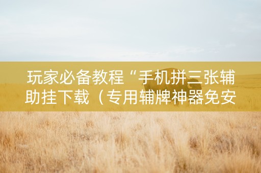 玩家必备教程“手机拼三张辅助挂下载（专用辅牌神器免安装）