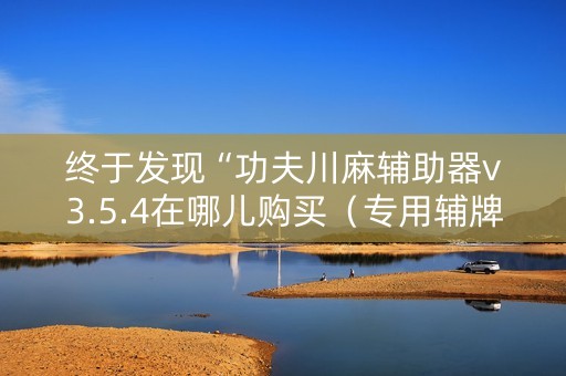 终于发现“功夫川麻辅助器v3.5.4在哪儿购买（专用辅牌神器免安装）