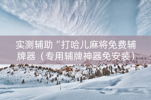 实测辅助“打哈儿麻将免费辅牌器（专用辅牌神器免安装）