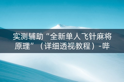 实测辅助“全新单人飞针麻将原理”（详细透视教程）-哔哩哔哩