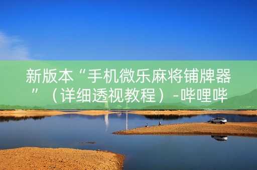新版本“手机微乐麻将铺牌器”（详细透视教程）-哔哩哔哩