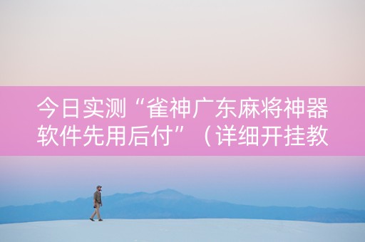 今日实测“雀神广东麻将神器软件先用后付”（详细开挂教程）-哔哩哔哩