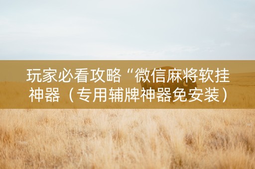 玩家必看攻略“微信麻将软挂神器（专用辅牌神器免安装）