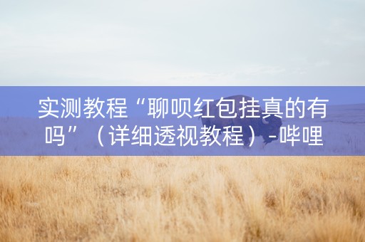实测教程“聊呗红包挂真的有吗”（详细透视教程）-哔哩哔哩