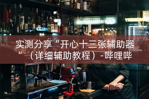 实测分享“开心十三张辅助器”（详细辅助教程）-哔哩哔哩