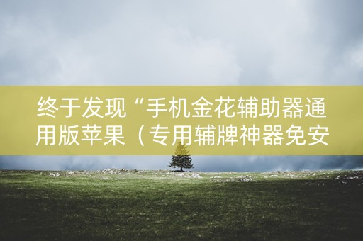 终于发现“手机金花辅助器通用版苹果（专用辅牌神器免安装）
