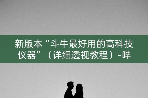 新版本“斗牛最好用的高科技仪器”（详细透视教程）-哔哩哔哩