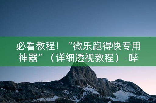 必看教程！“微乐跑得快专用神器”（详细透视教程）-哔哩哔哩