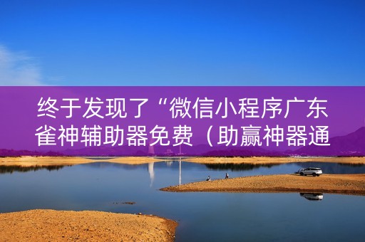 终于发现了“微信小程序广东雀神辅助器免费（助赢神器通用版）