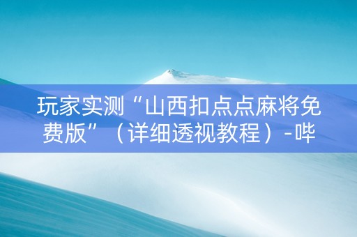 玩家实测“山西扣点点麻将免费版”（详细透视教程）-哔哩哔哩