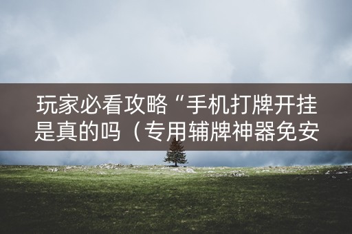 玩家必看攻略“手机打牌开挂是真的吗（专用辅牌神器免安装）