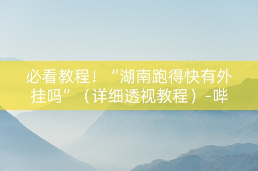 必看教程！“湖南跑得快有外挂吗”（详细透视教程）-哔哩哔哩