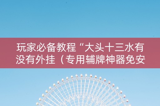 玩家必备教程“大头十三水有没有外挂（专用辅牌神器免安装）