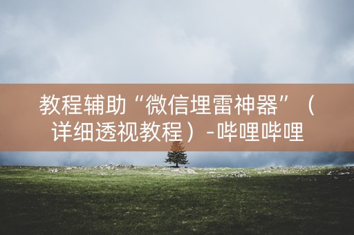 教程辅助“微信埋雷神器”（详细透视教程）-哔哩哔哩