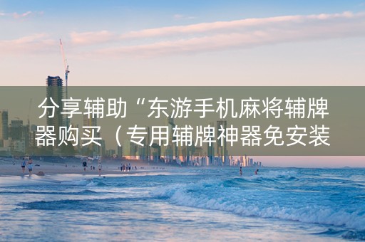 分享辅助“东游手机麻将辅牌器购买（专用辅牌神器免安装）