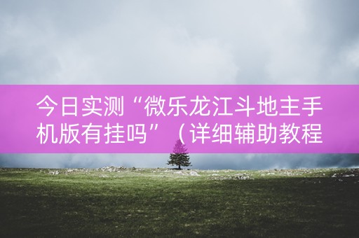 今日实测“微乐龙江斗地主手机版有挂吗”（详细辅助教程）-哔哩哔哩