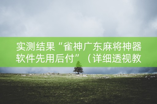 实测结果“雀神广东麻将神器软件先用后付”（详细透视教程）-哔哩哔哩
