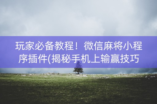玩家必备教程！微信麻将小程序插件(揭秘手机上输赢技巧)