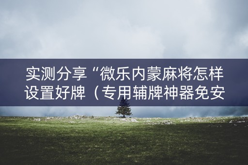 实测分享“微乐内蒙麻将怎样设置好牌（专用辅牌神器免安装）
