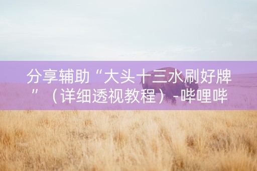 分享辅助“大头十三水刷好牌”（详细透视教程）-哔哩哔哩