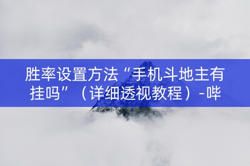 胜率设置方法“手机斗地主有挂吗”（详细透视教程）-哔哩哔哩