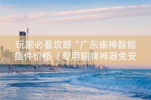 玩家必看攻略“广东雀神智能插件价格（专用辅牌神器免安装）