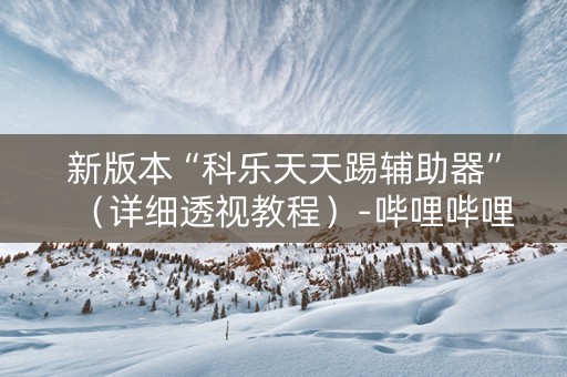 新版本“科乐天天踢辅助器”（详细透视教程）-哔哩哔哩
