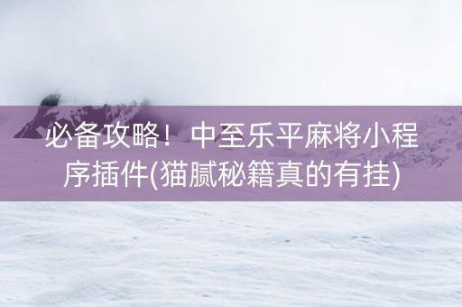 必备攻略！中至乐平麻将小程序插件(猫腻秘籍真的有挂)