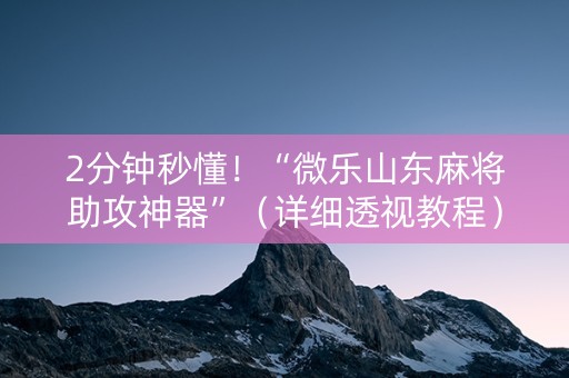 2分钟秒懂！“微乐山东麻将助攻神器”（详细透视教程）-哔哩哔哩