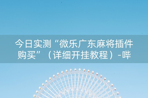 今日实测“微乐广东麻将插件购买”（详细开挂教程）-哔哩哔哩