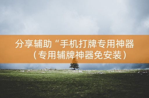 分享辅助“手机打牌专用神器（专用辅牌神器免安装）