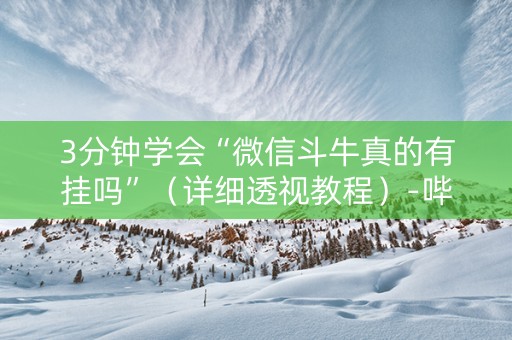 3分钟学会“微信斗牛真的有挂吗”（详细透视教程）-哔哩哔哩