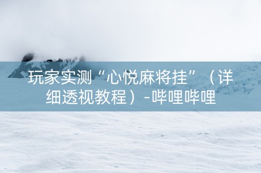 玩家实测“心悦麻将挂”（详细透视教程）-哔哩哔哩
