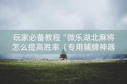 玩家必备教程“微乐湖北麻将怎么提高胜率（专用辅牌神器免安装）